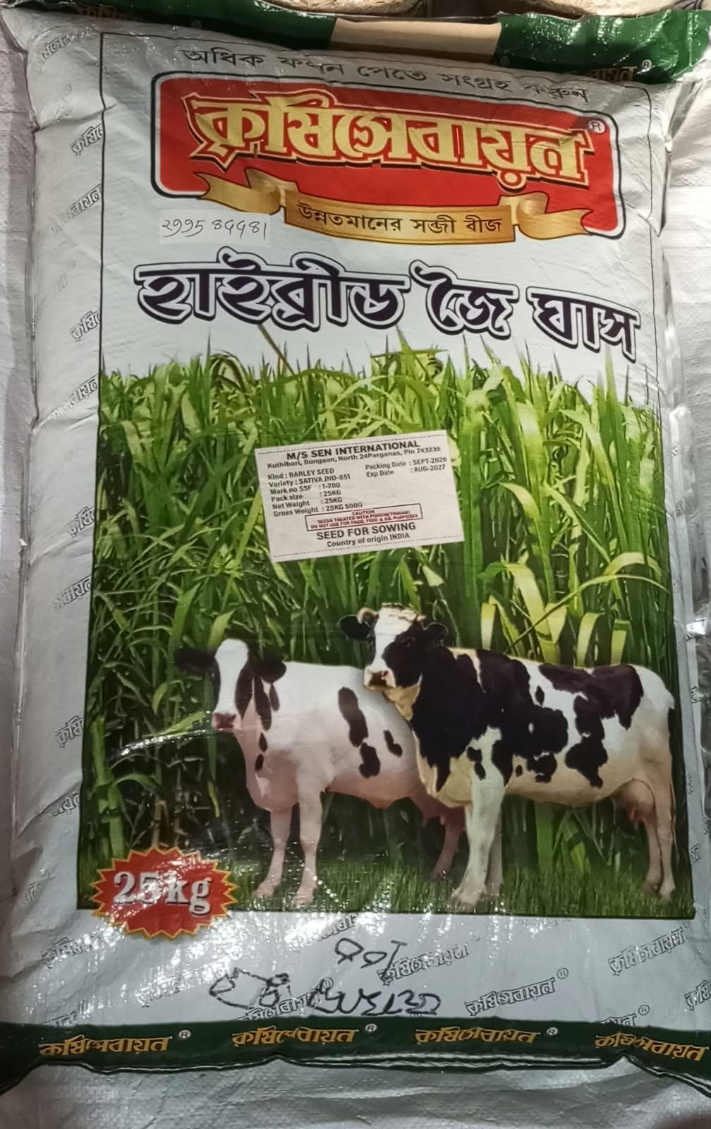 দ্রুত ফলনশীল জুঁই (ওটস) ঘাস - Image 8